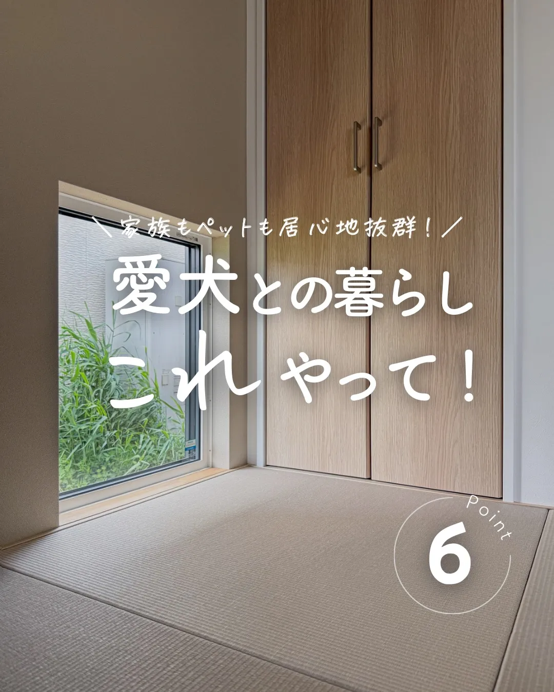 愛犬のために考えた工夫が